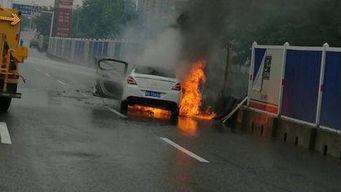 爆料海豚自燃视频播放下载,海豚自燃视频引发热议,真相令人震惊! 第3张 爆料海豚自燃视频播放下载,海豚自燃视频引发热议,真相令人震惊! 第3张